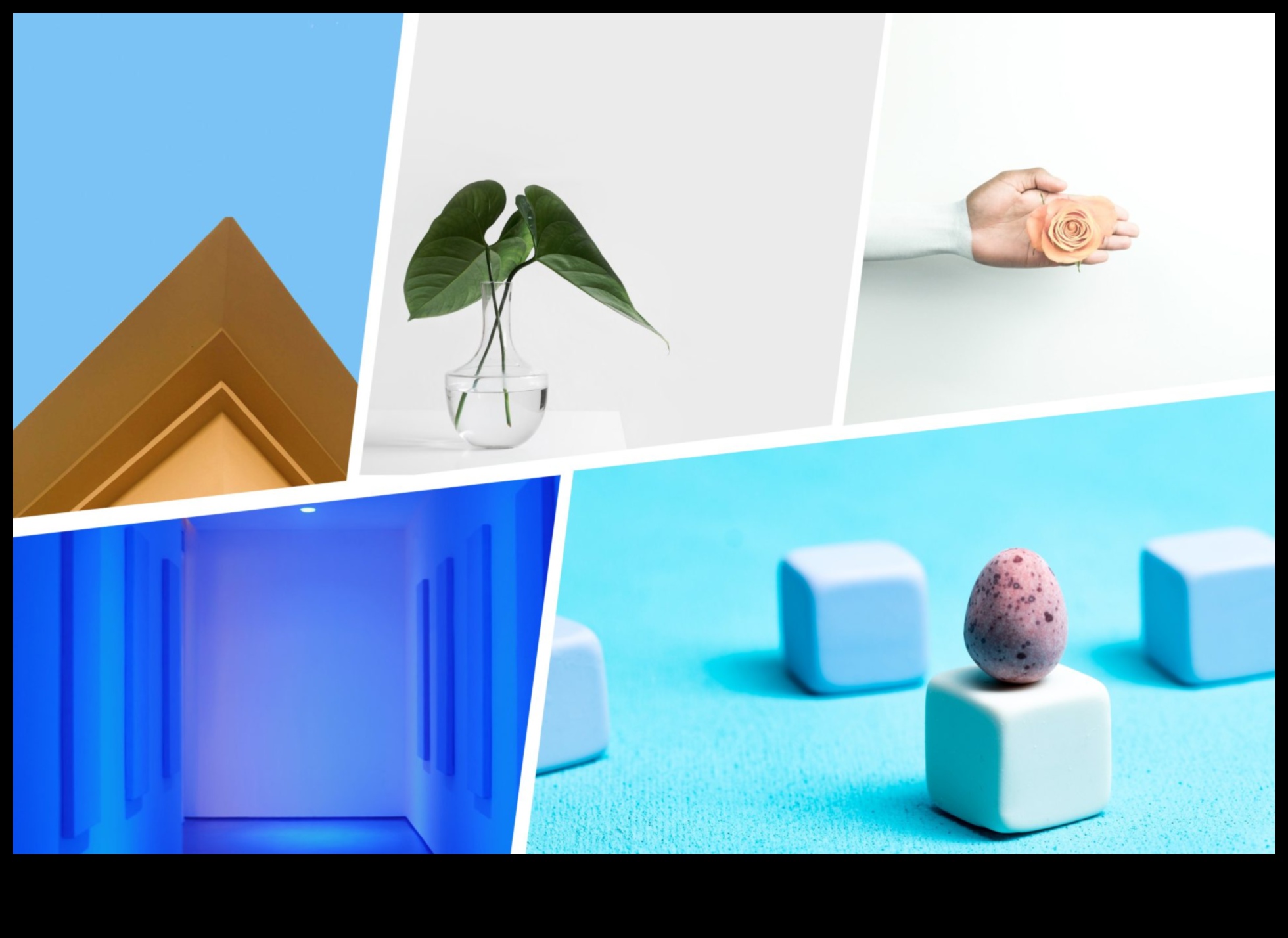 الأعاجيب البسيطة: البساطة والدقة في الفن الأمريكي