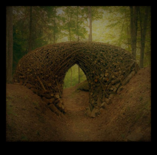 مساعي الفن البيئي: الوعي البيئي في الحركة الحداثية