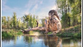 مساعي الفن البيئي: الوعي البيئي في الحركة الحداثية