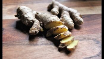 فن صناعة الزنجبيل: نصائح وإلهام لحياة صحية