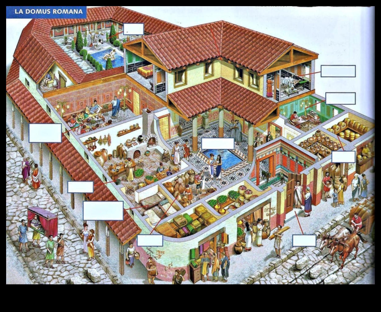 دوموس تصمم منازل رومانية مزينة بمهارة حرفية فاخرة 1 تصاميم دوموس: الفنون الزخرفية في المنازل الرومانية